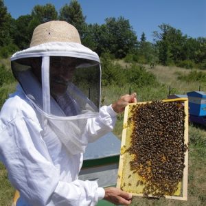 01-S'initier à l'apiculture